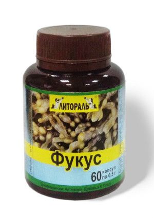 Фукус.jpg Фукус.jpg