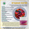 Ягодная магия, сухой концентрат сока ягод и плодов, Витамакс (Vitamax), 90 грамм