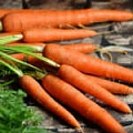 Морковь — «МагазинВитамин»