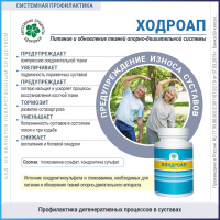 ХондроАп, глюкозами и хондроитин, Витамакс (Vitamax), 60 капсул —  «МагазинВитамин»