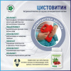 Цистовитин, здоровье мочевыделительной системы и профилактика цистита, Витамакс (Vitamax), 60 капсул Цистовитин, здоровье мочевыделительной системы и профилактика цистита, Витамакс (Vitamax), 60 капсул
